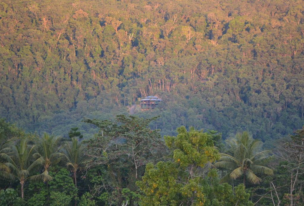 Cloud 9 Villa Daintree Exteriör bild