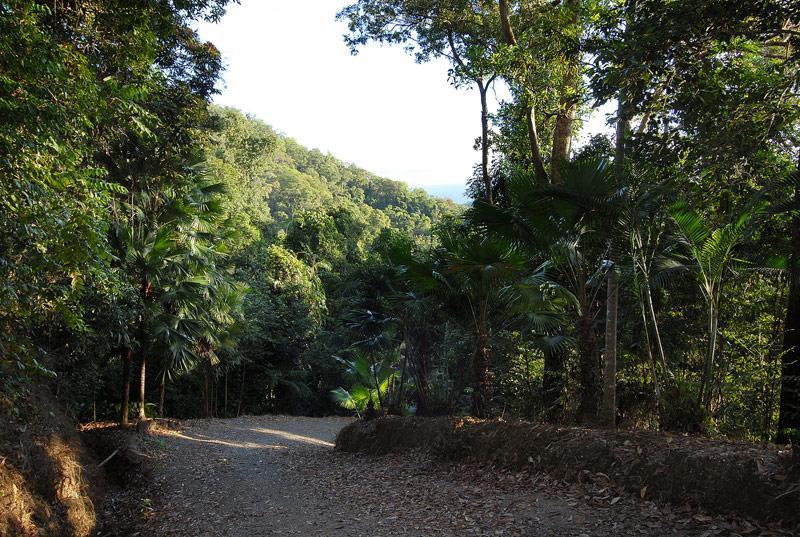 Cloud 9 Villa Daintree Exteriör bild